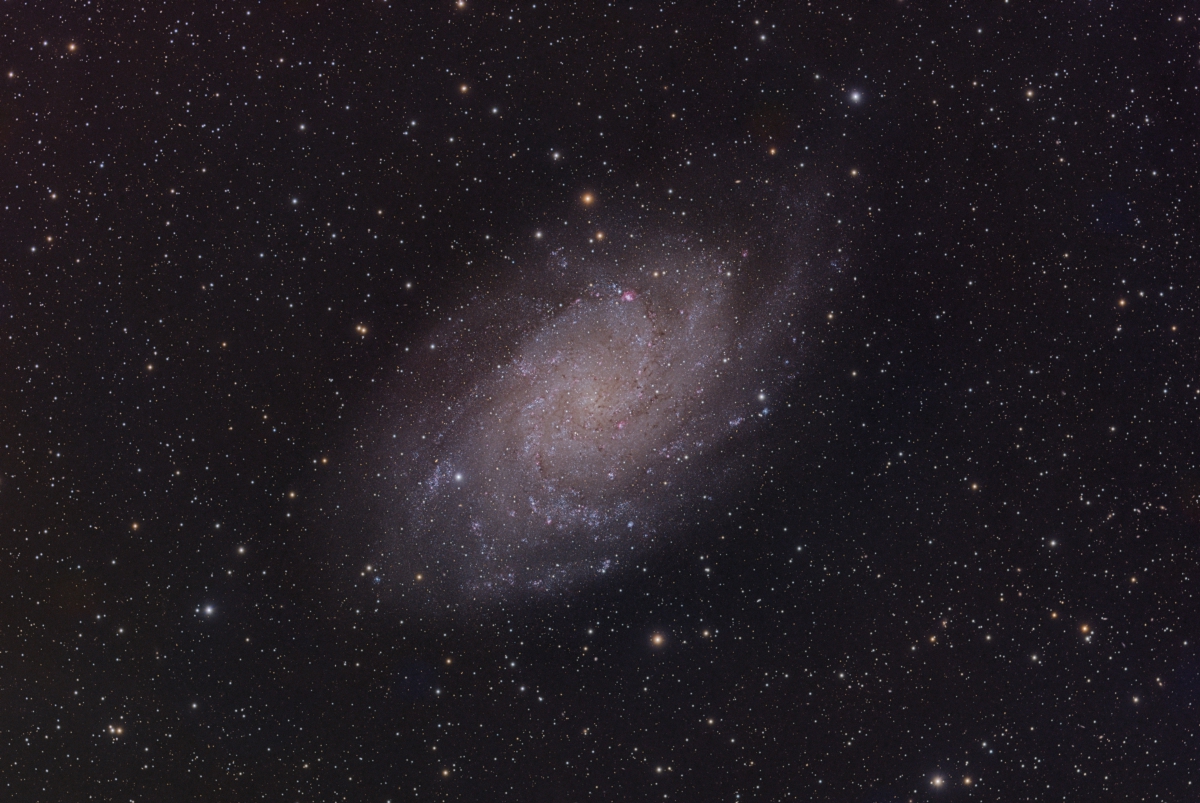 M33