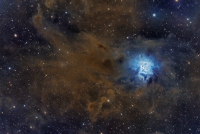 NGC7023